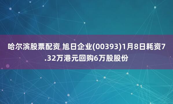 哈尔滨股票配资 旭日企业(00393)1月8日耗资7.32万港元回购6万股股份