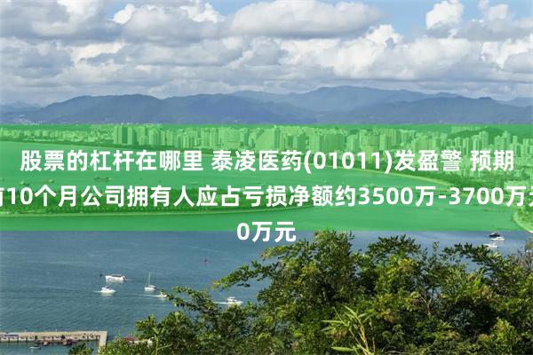 股票的杠杆在哪里 泰凌医药(01011)发盈警 预期前10个月公司拥有人应占亏损净额约3500万-3700万元