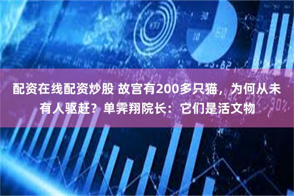 配资在线配资炒股 故宫有200多只猫，为何从未有人驱赶？单霁翔院长：它们是活文物