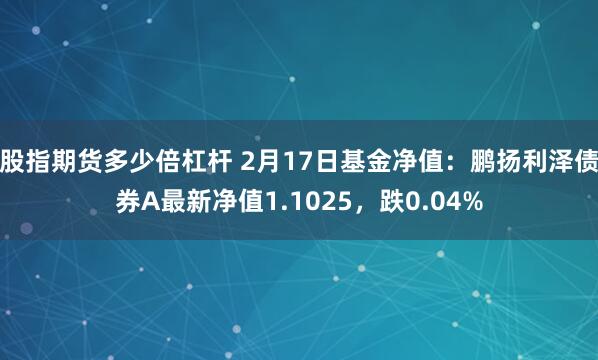 股指期货多少倍杠杆 2月17日基金净值：鹏扬利泽债券A最新净值1.1025，跌0.04%