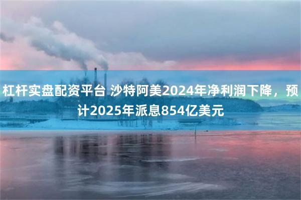 杠杆实盘配资平台 沙特阿美2024年净利润下降，预计2025年派息854亿美元